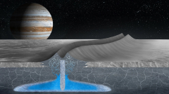 Water might be typical within Europa’s ice shell