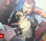 Breydon Water: Norfolk lifeboat teams rescue 17 individuals and 3 animals