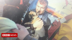 Breydon Water: Norfolk lifeboat teams rescue 17 individuals and 3 animals