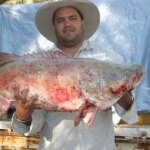 Outback fishing competition luring anglers for prized Murray cod a boon for river health