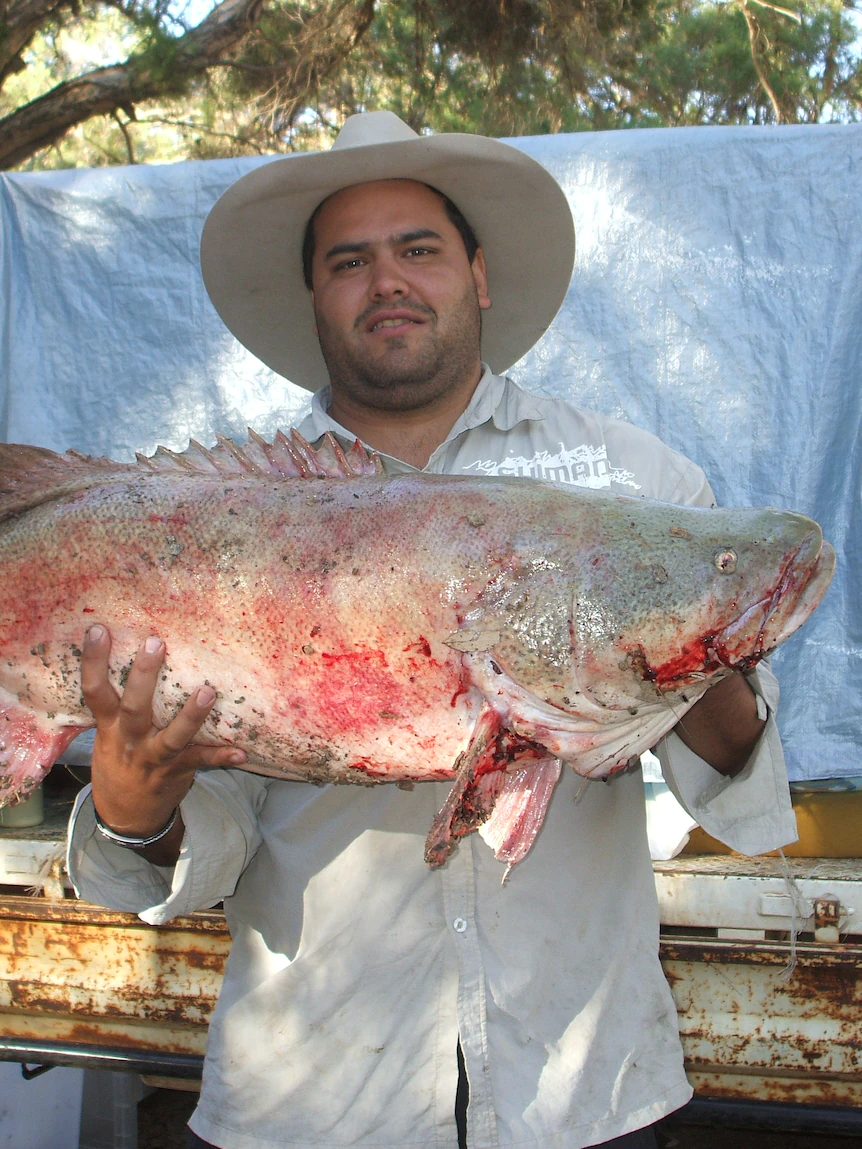 Outback fishing competition luring anglers for prized Murray cod a boon for river health