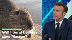 Will liberal beavers conserve Macron?
