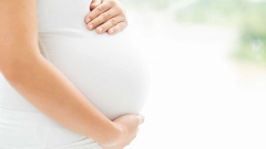 Finding a mystical Estrogen’s crucial function in pregnancy