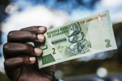 Zimbabwe Imposes Capital Controls to Stem Currency’s Slide