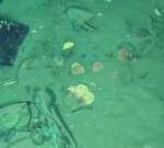 Treasure stockpile discovered in freshly found shipwrecks near Colombia