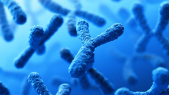 One in 500 males brings an additional sex chromosome, researchstudy
