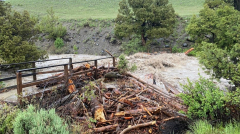 Yellowstone National Park closes entryways, leaves visitors amidst ‘unprecedented’ rains, flooding