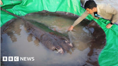 World’s biggest freshwater fish discovered in Cambodia
