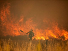 Europe wildfire threat increased by early heat waves, dryspell