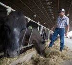 How an Ottawa beef farmer ended up raising some of the world’s mostcostly livestock