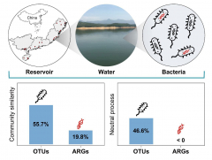 Researchers exposed the unique biogeographical patterns of bacterial neighborhoods and ARG