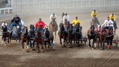 In 1st occasion after 6 horses passedaway, Stampede chuckwagons return with brand-new security procedures
