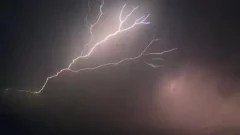 Saskatchewan couple loses almost 30 livestock to lightning strike