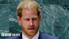 Prince Harry alerts UN of worldwide attack on flexibility