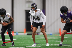 ENJOY: Ravens novices report for 1st NFL training camp