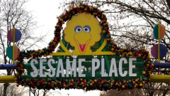 Sesame Street style park asksforgiveness after mascot rejects Black women hugs