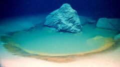 Unusual deep-sea saltwater swimmingpools found in the Red Sea