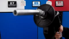 Kenney desires competitors bureau to probe fuel rates in Alberta