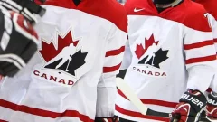Privateinvestigator for Hockey Canada sexual attack accusations affirms at committee