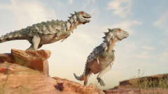 Researchers found the veryfirst armored bipedal dinosaur in Patagonia