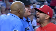 Cardinals supervisor Oliver Marmol discussed what truly triggered his intense exchange with umpire C.B. Bucknor