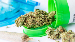 Marijuana recommended for discomfort connected with an raised danger of heart issues