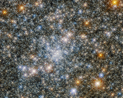 The Hubble telescope recorded a steady, firmly bound widerange of stars