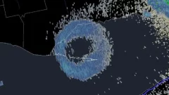 numerous birds are in the sky at Ontario’s Long Point right now, they’re revealing up on radar