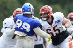 Wild battle breaks out inbetween Bengals and Rams at practice