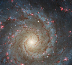 Hubble snaps a galaxy with rosy pink arms