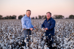 QLD DataFarming launches Series A $5 million round to aid farmers usage AI