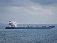 Inspectors OKAY 1st Ukraine grain ship however no indication yet of more