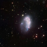 Dwarf galaxies of Earth’s 2nd closest galaxy cluster are totallyfree of dark matter halos