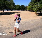 UK heatwave: South East Water hosepipe restriction comes into force