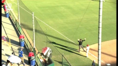 A strange, questionable call by a Little League World Series umpire led to the weirdest walk-off