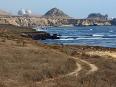 California guv proposes extending nuclear plant’s life