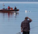 1 dead, 9 missingouton after floatplane crashes north of Seattle