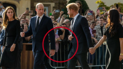 Prince William and Prince Harry body language with Kate Middleton and Meghan Markle offers significant hint about relationship, professional Katia Loisel states