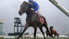 Horse racing: Boom Godolphin colt Aft Cabin revels in ‘worst’ conditions to win Caulfield Guineas Prelude