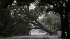 2 million without power, individuals caught after Hurricane Ian swamps southwest Florida