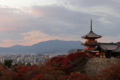 The Best Places to Visit in Japan Before Swarms of Tourists Arrive