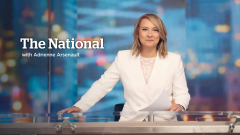 The National | Hockey Canada, Alberta UCP election, Brazil forest fires