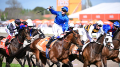 Cox Plate favourite Anamoe ‘lifts off the canvas’ in impressive Might And Power Stakes triumph