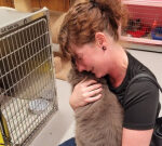 Walter White, feline missingouton for 3 years, reunited with Saskatoon owner