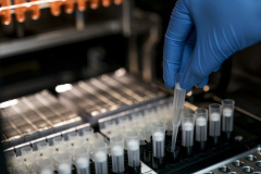 Has DNA Testing Prevented Disease?