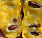 What is a pawpaw? Meet the tropical, North American fruit called the ‘Michigan banana’