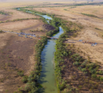 Queensland town of Julia Creek uses $500,000 and rent-free house to discover brand-new GP