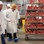 USDA states more than $200M will aid meat processors broaden