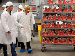 USDA states more than $200M will aid meat processors broaden