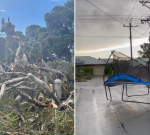 Lots of schools and kindergartens in South Australia close after storm damage